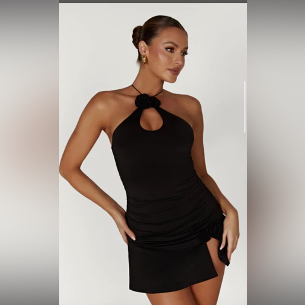 Black Meshki Mini Dress